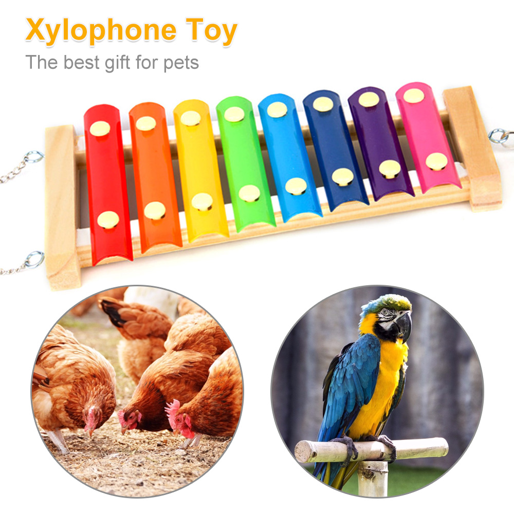 Bird Chicken Xylophone Toy Woo - Musical Instrument Xylophone recension och pris
