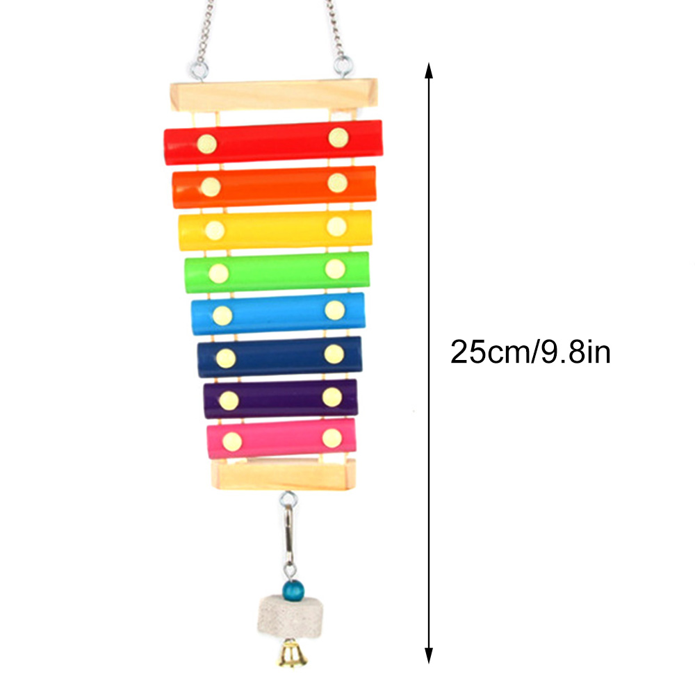 Bird Chicken Xylophone Toy Woo - Musical Instrument Xylophone recension och pris