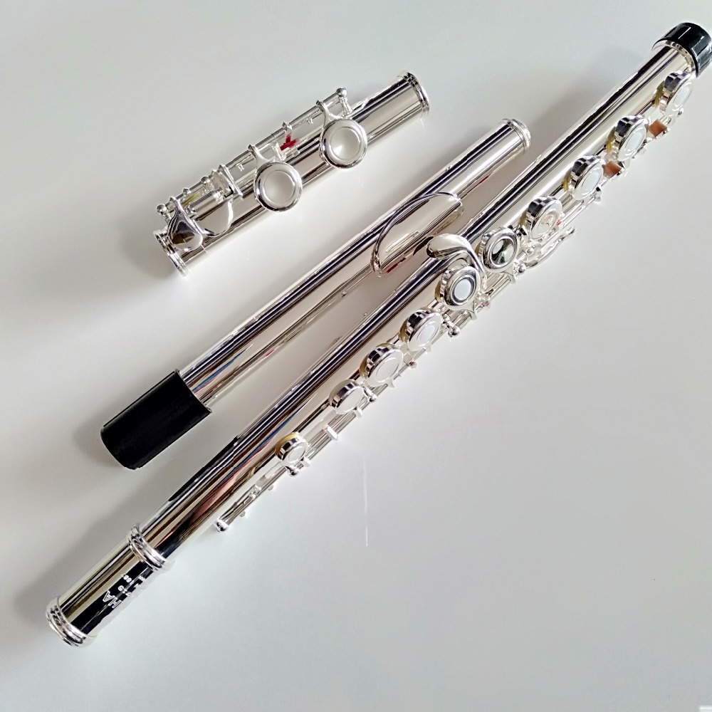 Professional Top Japan FL-471  - Musical Instrument Japan recension och pris