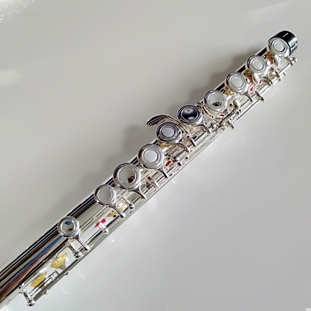 Professional Top Japan FL-471  - Musical Instrument Japan recension och pris