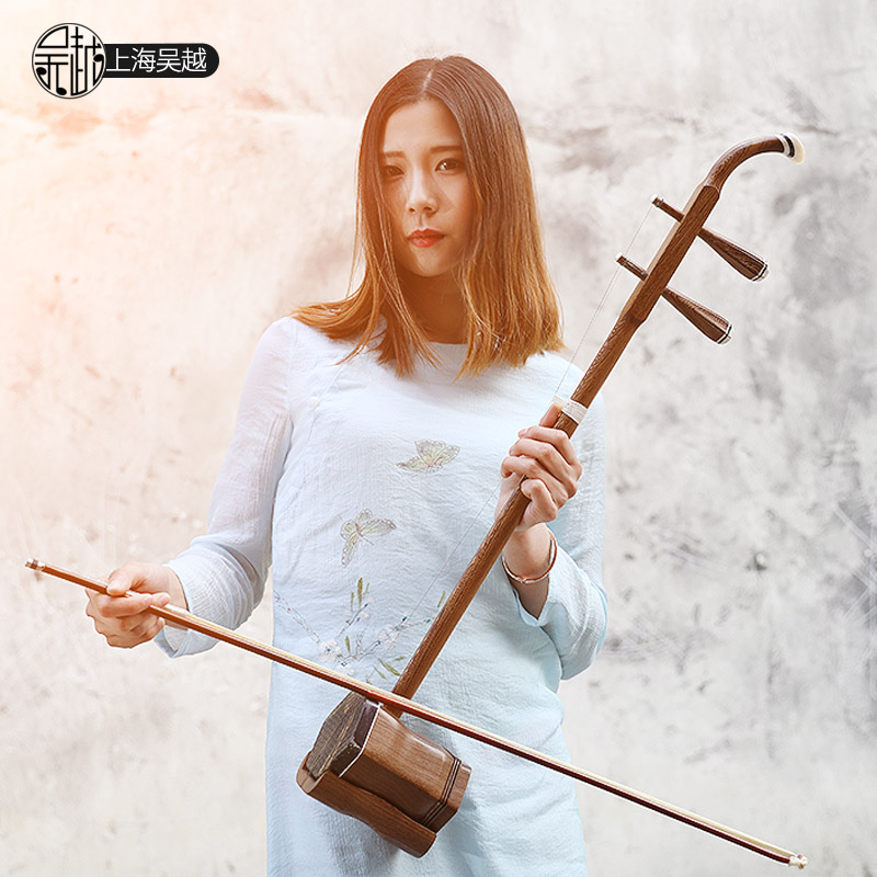 Chinese Folk String Instrument - Musical Instrument Book recension och pris