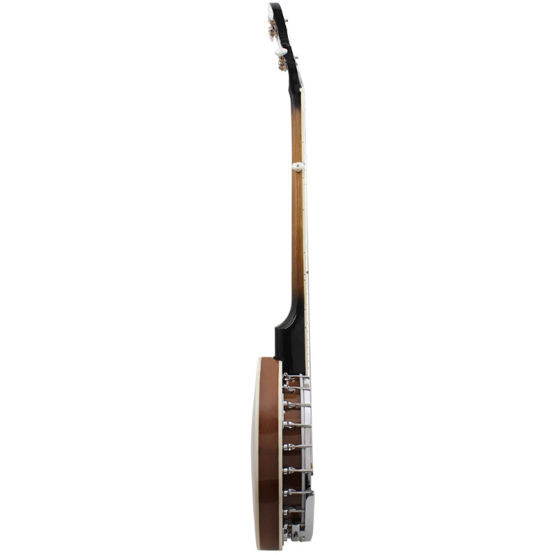 5 String Banjo Western Profess - Musical Instrument Names recension och pris