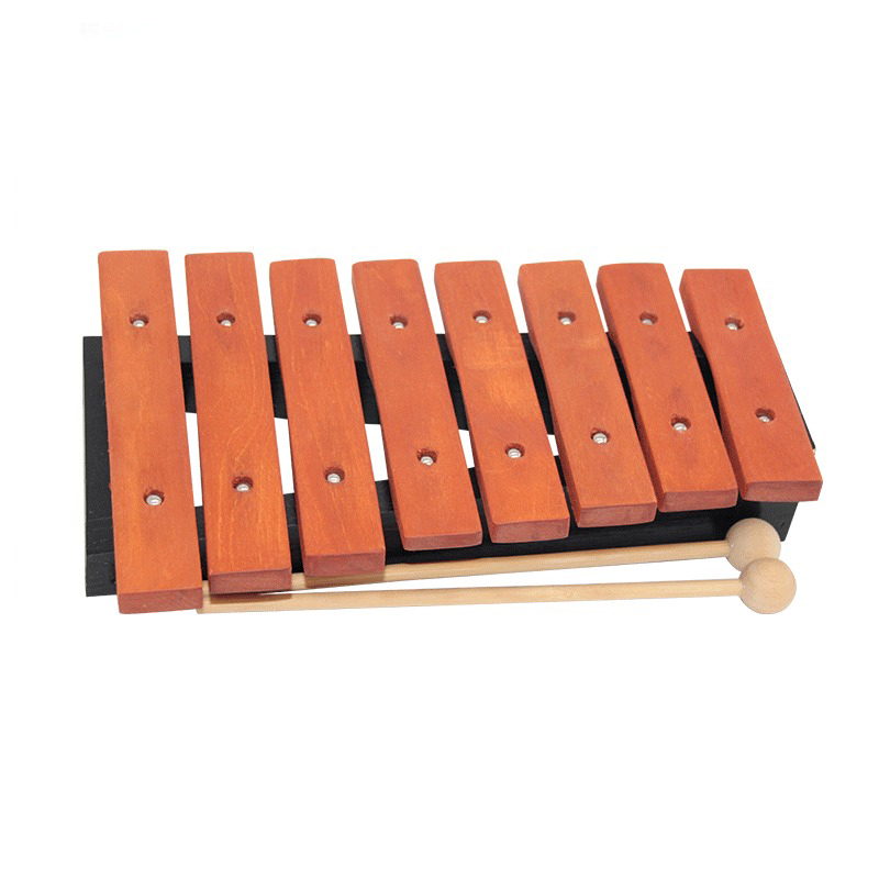 8 Note Xylophone Children Prof - Musical Instrument Xylophone recension och pris