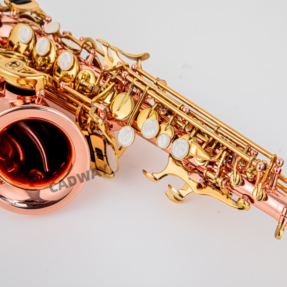 Japan Saxophone Soprano  B fla - Musical Instrument Japan recension och pris